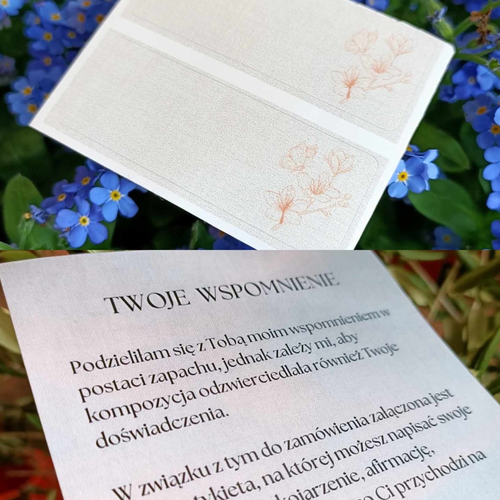 Mała Kamienica